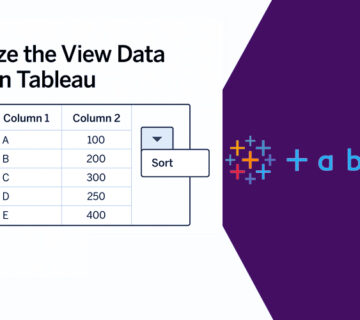 Customize the View Data in Tableau
