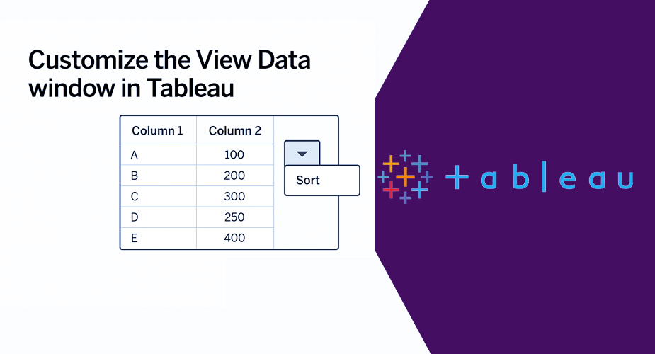 Customize the View Data in Tableau